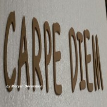 Decorative wooden letter CARPE DIEM